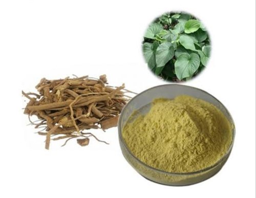 Kava Extract Manufacturers | Kava Extract Suppliers