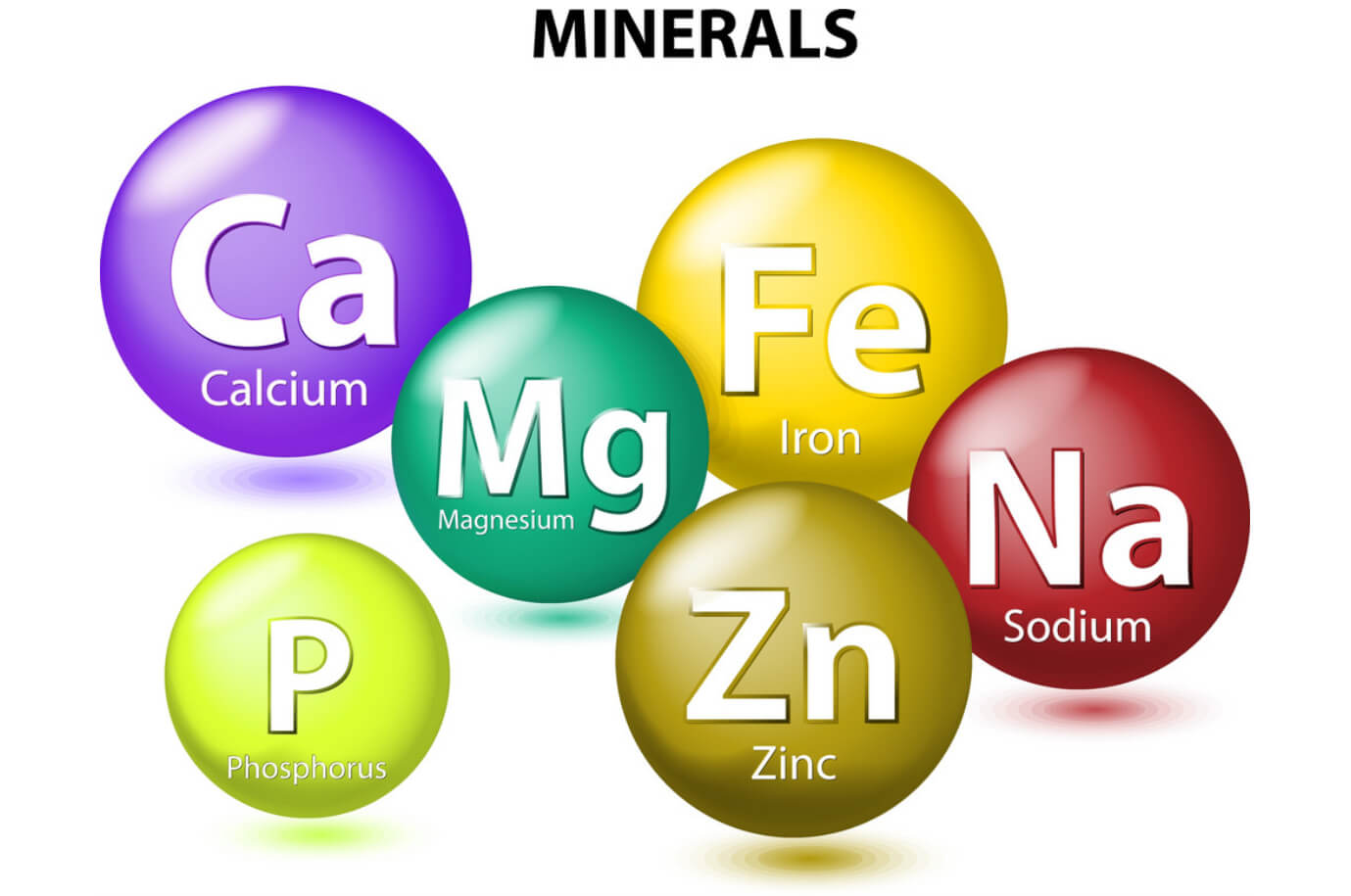 Plant-Based Minerals