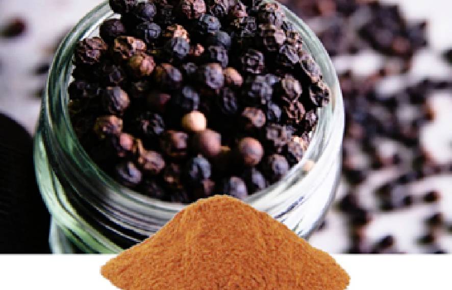 Piper Nigrum Extract In San Francisco