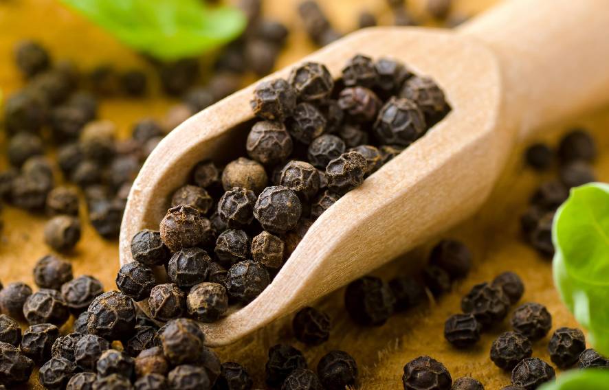 Piperine Extract 95% Piperine By Hplc In New Zealand